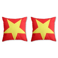 各國國旗圖案抱枕套 2入