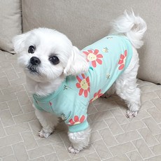 도기코디 해바라기 강아지 티셔츠, 민트, 1개