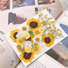 Lovely Farm 乾燥花 押花 28件 DIY套組, 1套, 梵谷花園