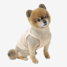 Neo FIT. 狗狗涼感短版T恤, 米色, 1個