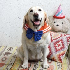 ZAZAZOO 萌少女戰士水手領巾 金星 蝴蝶結, 橘色, 1組