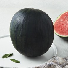 모두유통한반도 까망 애플수박, 3kg 미만, 1개