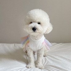 그루밍독 반려동물 데이지 요정 민소매 크롭 티셔츠, 화이트, 1개