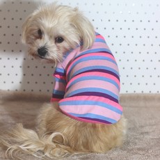 DOGGY STAR 寵物狗條紋大學棉T恤, 淺粉色 + 天藍色, 1個