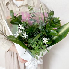 코코도르팜 생화 꽃다발, 오로라그린