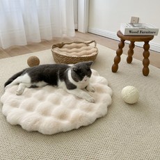 데이소이 고양이 럭셔리 쿠션, 01 베이지 원형, 1개