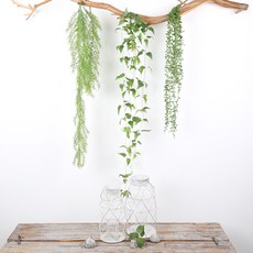 藤蔓仿真懸掛植物 3種組, 綠色