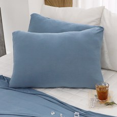 SCOHOme Icy Cool 接觸涼感夏季枕頭套 + 枕芯組, 1個, 涼感深藍