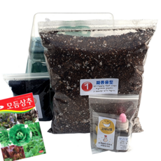 하늘e정원 누구나 쉽게 책상 위의 텃밭 과학 실험 모듬상추 식물 기르기 키트 세트 3000p