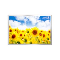 室內裝潢鋁製畫框 + 金錢花H海報套組, 銀色