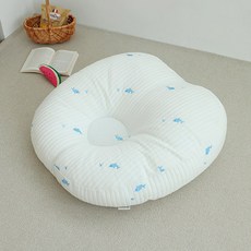 아솜느 유아용 듀라론 냉감 역류방지 쿠션, 돌고래