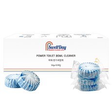 스웰데이 개별포장 파워 변기세정제 10p, 500g, 1개