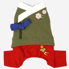 Parisdog 寵物新郎韓服一體機, 綠色