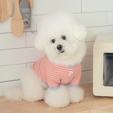 PETSLAND 狗狗愛麗絲T恤, 珊瑚色