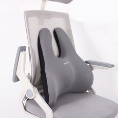 今日 6D 新一代護腰辦公室靠背墊, 灰色