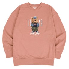 AiR Plane 波特蘭標準大學T