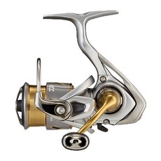 DAIWA 21個普里姆, 混色, FC LT 1000S