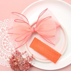 Lee&See-through霓虹緞帶髮夾 2入