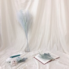 Cojeut粉彩粉紅永生花 5入, 薄荷