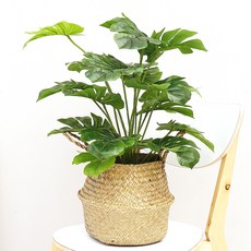 晨曦香氣 龜背芋 DIY 人造花藤編套組, 混色, 1套