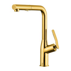 Dain Harmony優質廚房水槽水龍頭 真金色 DS670RG, 1個