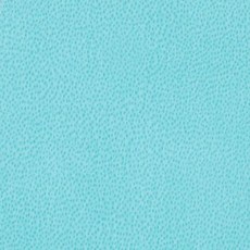 [WYBK] PU皮革防水布料 標籤B NO.10, 10