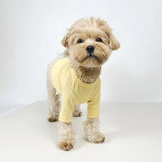 Grooming Dog 寵物棉花糖日常T恤, 黃色, 1個