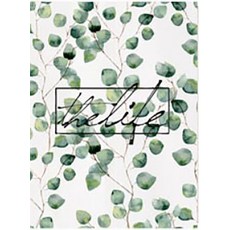 Yangson Company 植物門簾, 32