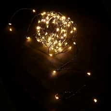 Dawoo F&G 聖誕LED線燈 100燈 10米 燈泡, 黑色線 暖白光