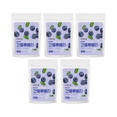 자연다움 건블루베리, 5개, 100g