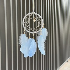 파라다이소 다채로운 크리스탈 인스타일 깃털 드림캐쳐, A 12