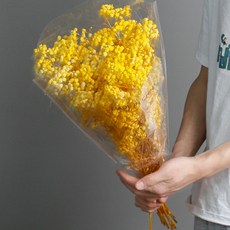 소니오 프리저브드플라워 소형 안개꽃 꽃다발, 07 옐로우