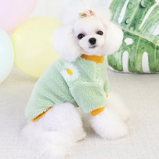 狗狗剛綻放的暖呼呼雛菊羊羔毛毛衣, 綠色