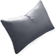 DALZAM 可水洗防塵超細纖維枕芯, 木炭