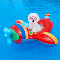 INTEX Richdogs 狗狗戲水飛機游泳圈