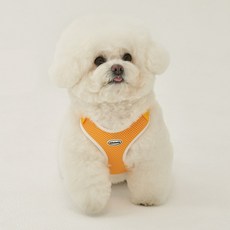 Minimiz 狗狗蠟筆透氣胸背帶, 1個, 黃色