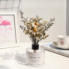 GAPANG 乾花 No.05 DRYJ024+花瓶套組, 混色