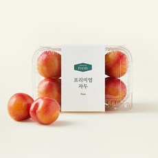 온브릭스 프리미엄 대석 자두, 1개, 800g