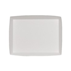 一次性長方形紙盤, 100個, 1個