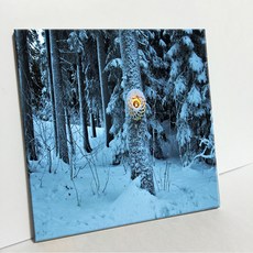 UDP 磁磚畫框 A型 3904567