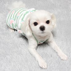 도기코디 강아지 수박 프릴 끈나시, 초록, 1개