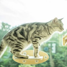 SPACE SOLUTION 貓塔塔不明飛行, 混色, 1個