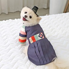 ITS DOG 狗狗智律王子彩緞韓服, 海軍藍, 1個