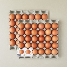 무항생제 인증 신선 특란 3.6kg, 60구, 1개