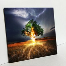 UDP 磁磚相框 A型 845848, 單一顏色