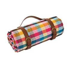 Daim 皮革背帶防水野餐墊, 彩虹格紋