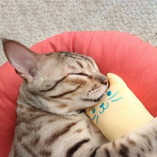 MOMOjERI 貓咪木天蓼抱枕, 1個, 檸檬貓