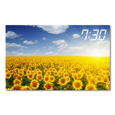 홈마인 캔버스 프린팅 액자 시리즈 LED 시계 해바라기 풍경 800 x 500 mm, 8