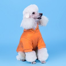 寵物連帽衣 MING-X, 橘子