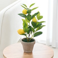 Garden in the City 人造檸檬盆栽, 1個, 隨機出貨(陶盆)